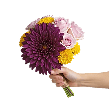 Radiant Bloom Cascade