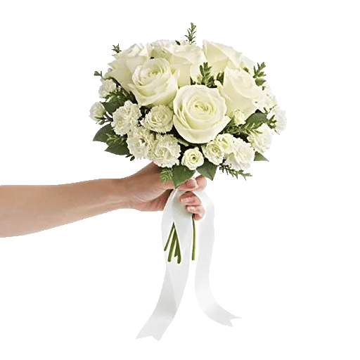 Ivory Garden Grace