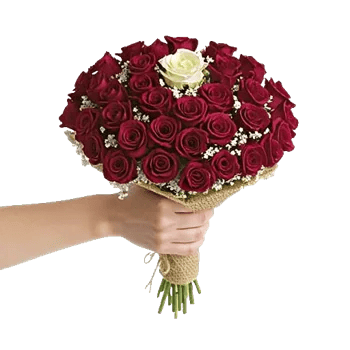 Crimson Rose Elegance