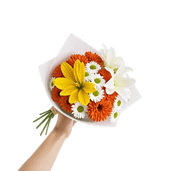 Blossom Harmony Display