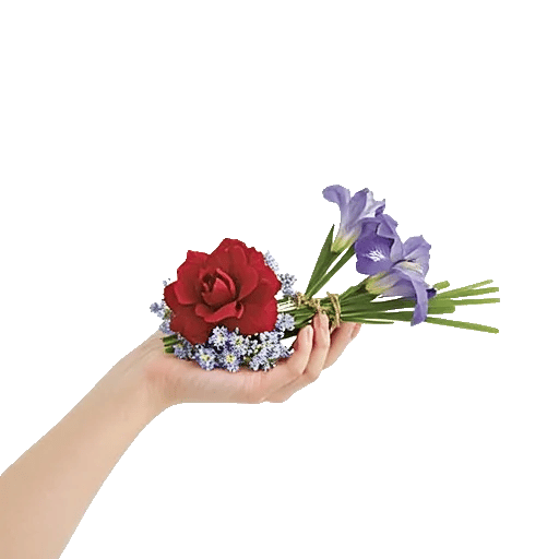 Elegant Calla Lilies