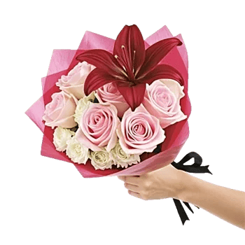 Blushing Rose Symphony