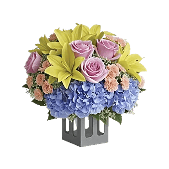 Pink Pastel Roses