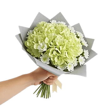 Serene Petal Harmony