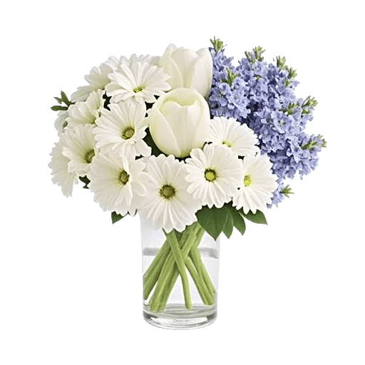 Ivory Blossom Radiance