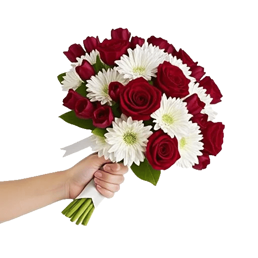 Scarlet Tulip Splendor