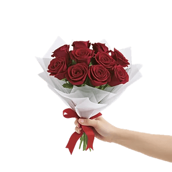 Crimson Rose Elegance