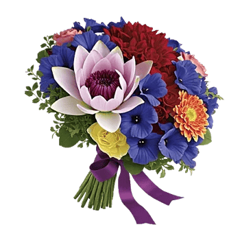 Ivory Blossom Radiance