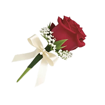 Crimson Rose Elegance