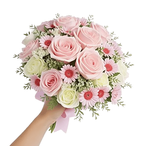 Pastel Pink Roses
