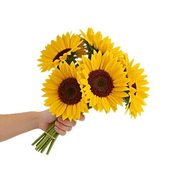Golden Sunflower Bouquet