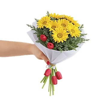 Blossom Harmony Display