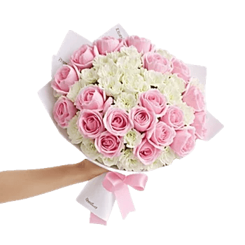 Peony Petal Harmony
