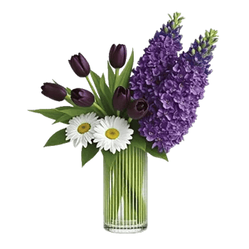 Ivory Blossom Radiance