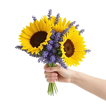 Twinkling Sunflower Dance