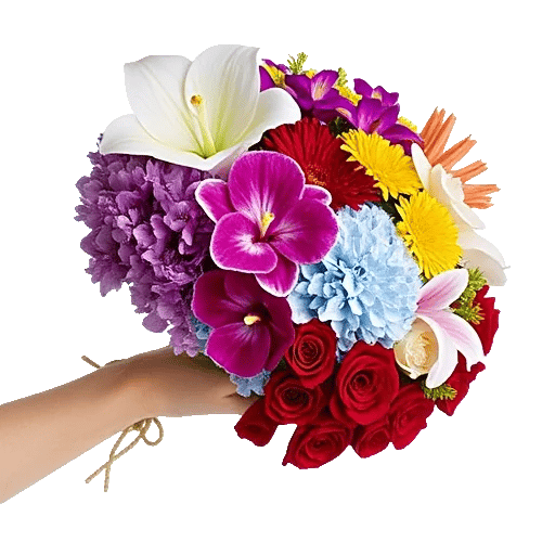 Blossom Harmony Display