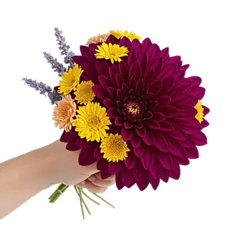 Crimson Blossom Harmony