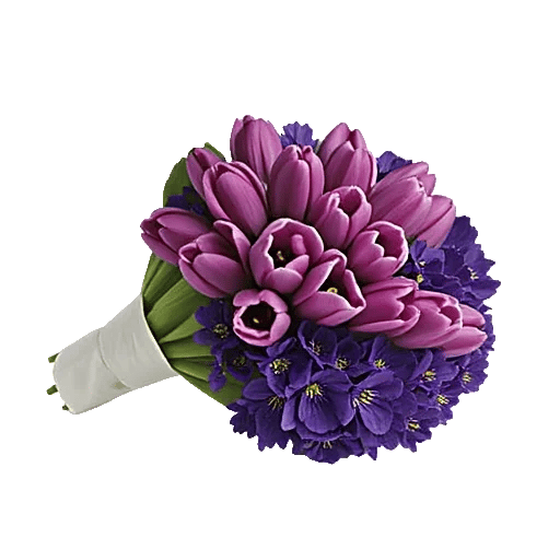 Velvet Tulip Display