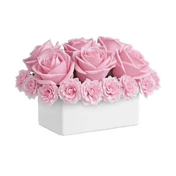 Pink Pastel Roses