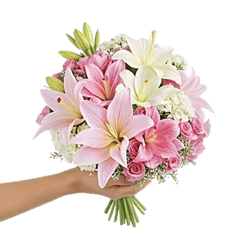 Graceful Lily Display