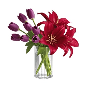 Velvet Tulip Display