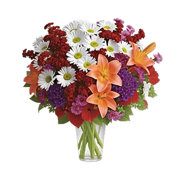 Petal Radiance Bliss