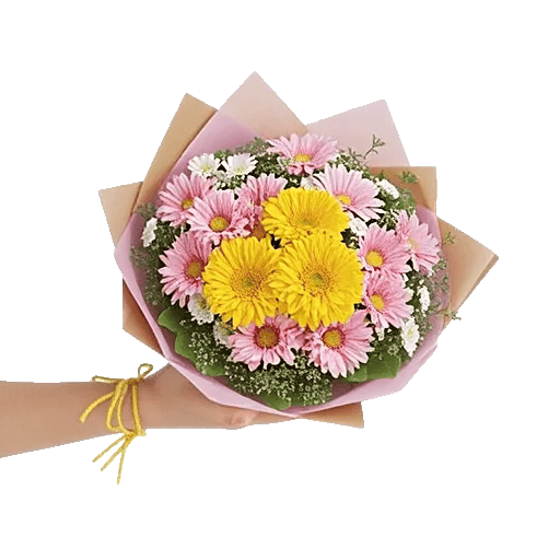 Blossom Harmony Display