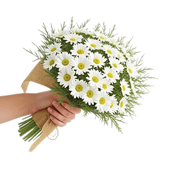 Ivory Garden Grace
