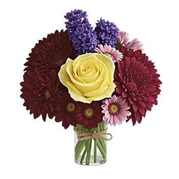 Delicate Petal Cascade