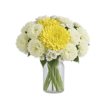 Radiant Bloom Cascade