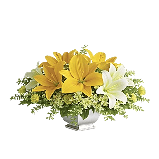 Graceful Lily Display