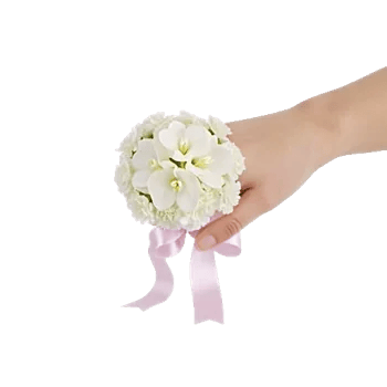 Minimalist White Orchids