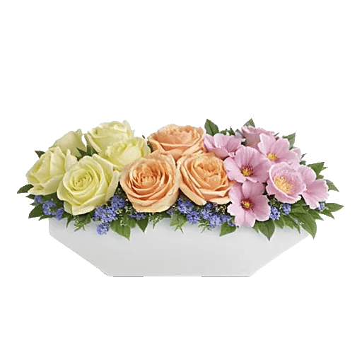 Delicate Petal Cascade