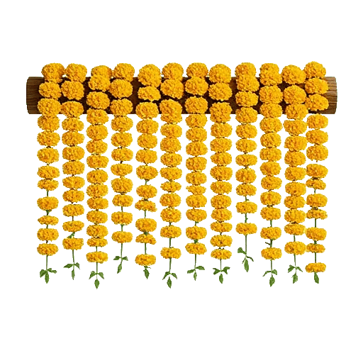 Radiant Bloom Cascade