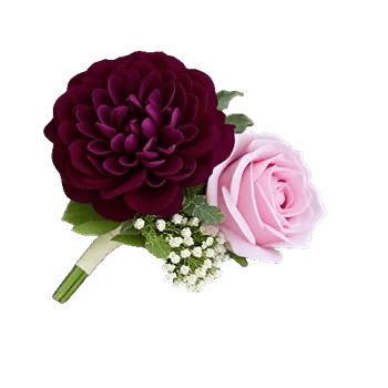 Plum Blossom Radiance