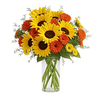 Golden Bloom Radiance