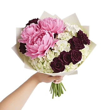 Peony Petal Harmony