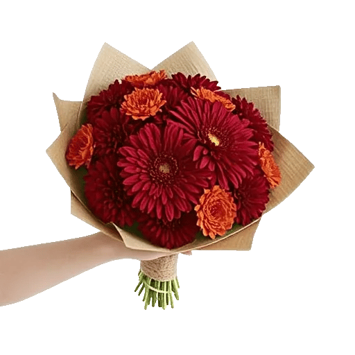 Crimson Blossom Harmony