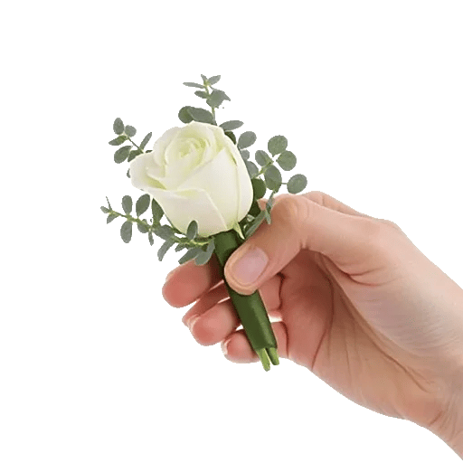 Minimalist White Orchids