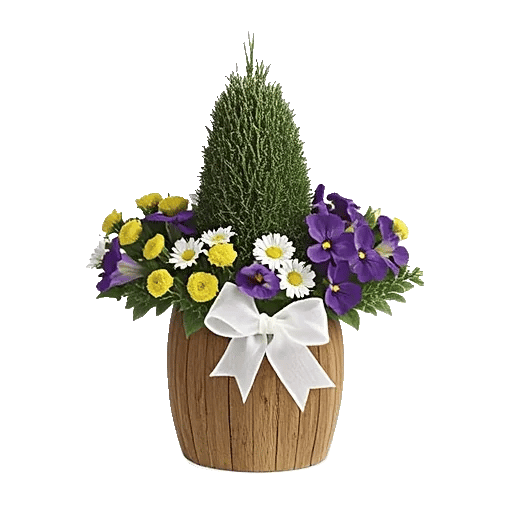 Plum Blossom Radiance