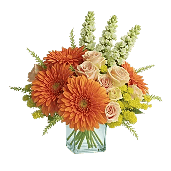 Radiant Bloom Cascade