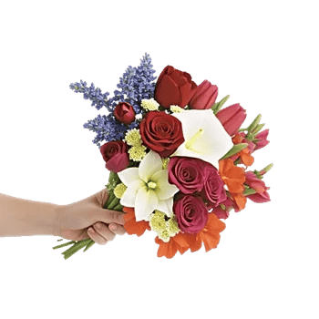 Blossom Petal Serenity