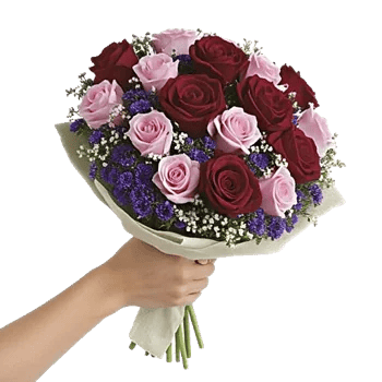Crimson Rose Elegance