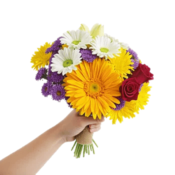 Golden Petal Harmony