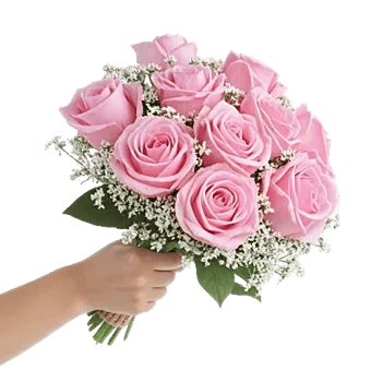 Pastel Pink Roses
