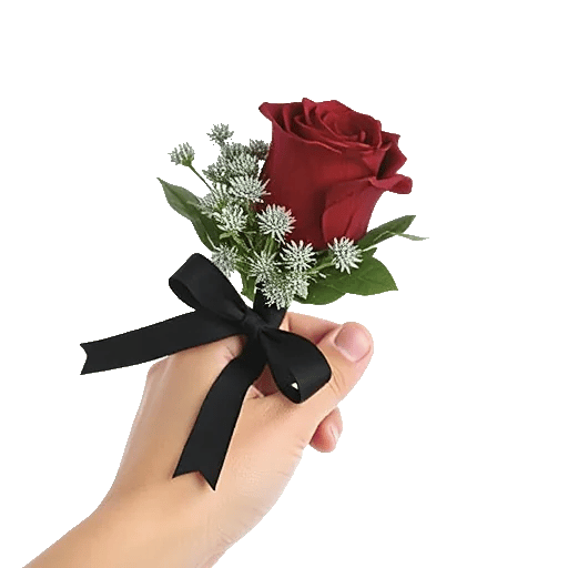 Crimson Rose Elegance