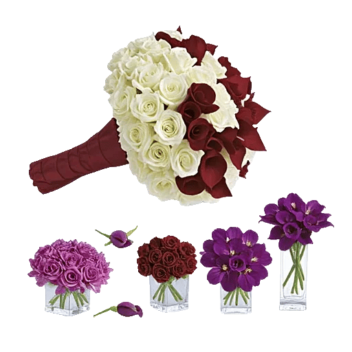 Elegant Calla Lilies