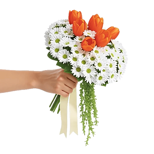 Blossom Glow Symphony