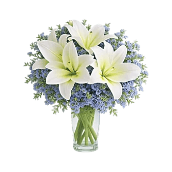 Graceful Lily Display