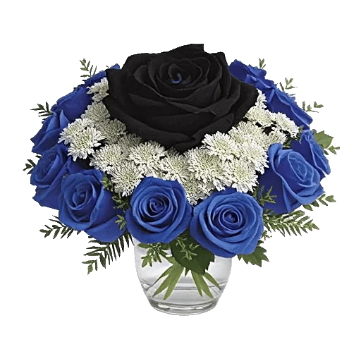 Elegant Blue Roses